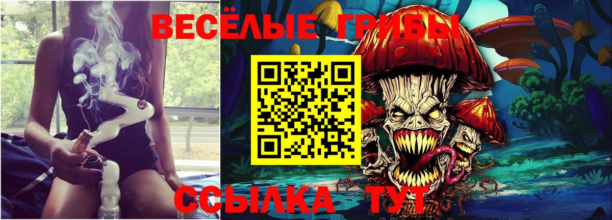где найти   Вход с VPN  Псилоцибиновые грибы мицелий  Нижний Новгород  Галлюциногенные грибы мицелий 